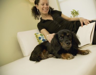 Woman reading with dog