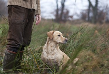 Hunter with a hunting dog