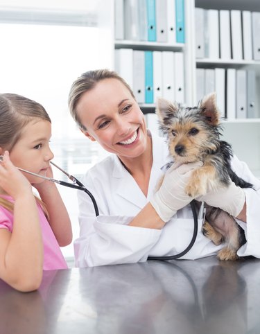 Vet with girl examining puppy in clinic