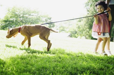 Girl walking dog