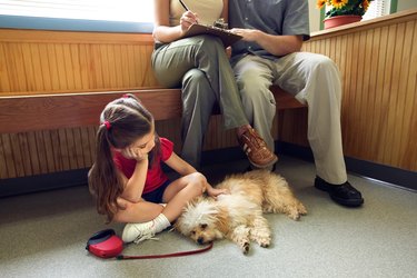 Family with sick dog sitting in veterinary clinic waiting room