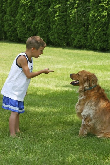 Boy Instructing Dog