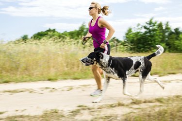 Woman runner running, walking dog in summer nature