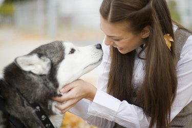 Young woman stroking dog on autumn day