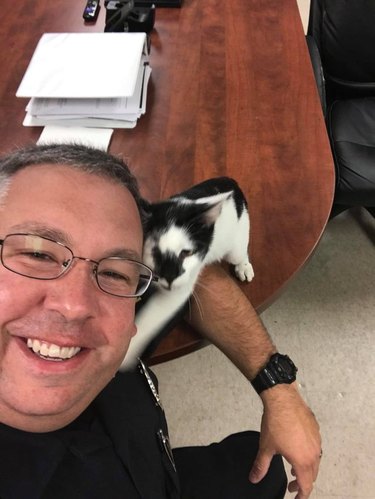 Cat steals hearts of police officers in South Carolina
