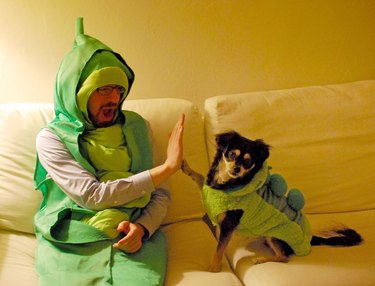 Man and dog in pea pod costumes high-fiving