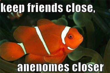 Just 56 Hilarious Animal Puns That Exist on the Internet