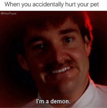 17 Times This Was You When You Stepped on Your Dog