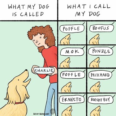 What my dog is called vs what I call my dog