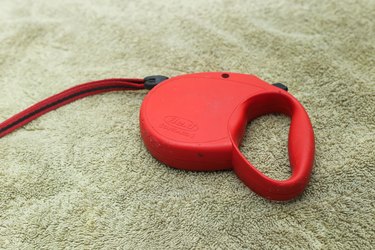 A red retractable dog leash on light-colored carpet
