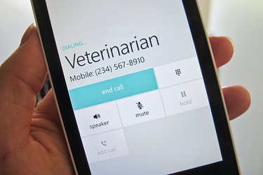 Calling a veterinarian on a mobile phone