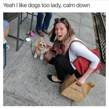 Woman petting a Corgi puppy. Caption: Yeah I like dogs too lady, calm down