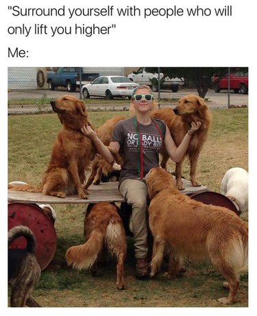 Photo of woman surrounded by golden retrievers.