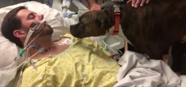 Dog's heartbreaking final farewell to her dying owner