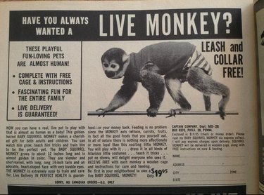 Ad for a pet monkey from the 1960's