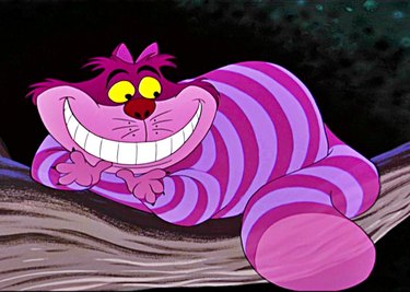 all the best Disney cats ranked