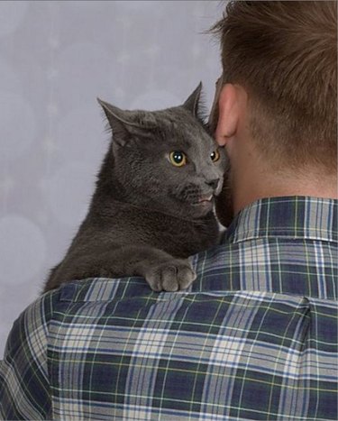 cat guy whispers