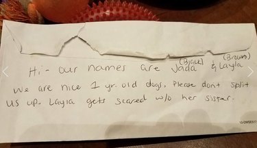 jada and layla note