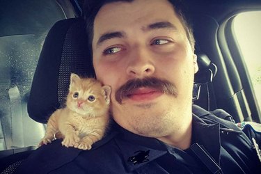 police officer adopts kitten