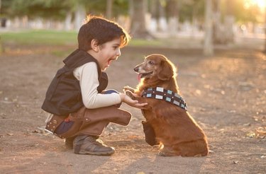 Small boy and small dog outside