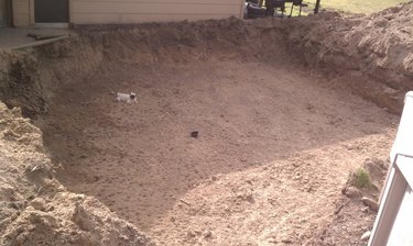 Pug in enormous, shallow hole.