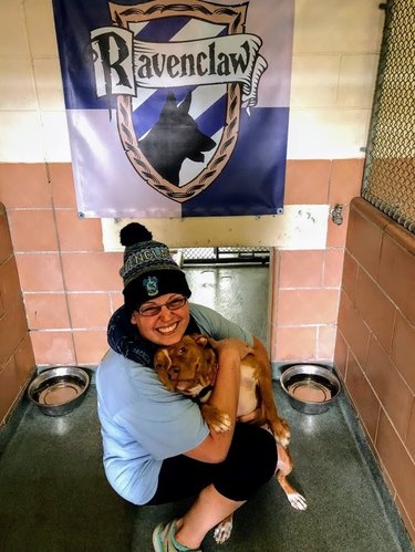 Florida shelter boosts dog adoptions with help from Harry Potter