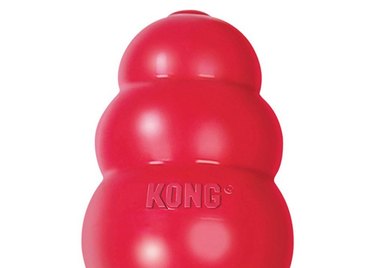 Kong Classic toy