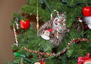 cat creating mischief inside a fake christmas tree