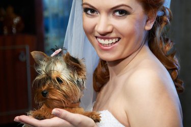 woman shares her secrets to 8 years of blissful marriage to her dog