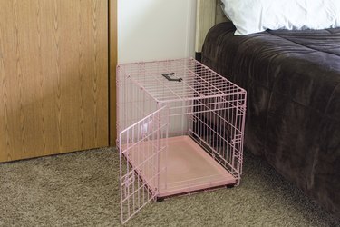 an empty pink crate