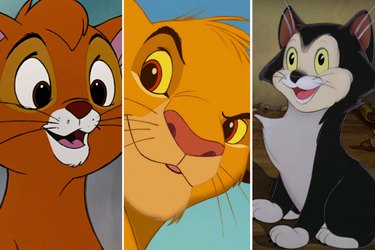 disney cats