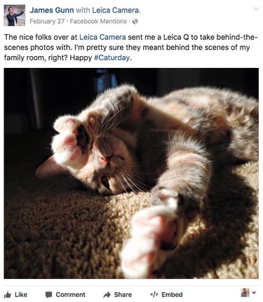 15 Times 'Guardians Of The Galaxy' Director Had No Chill On Caturday