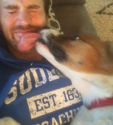 5 things you need to know about Chris Evans and his adopted dog, Dodger