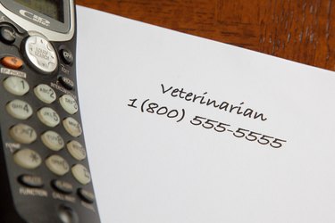 A veterinarian phone number