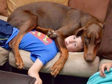 dog on top of teen boy