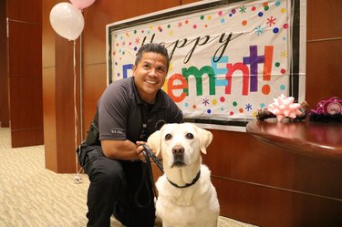 Airport service dog feted with epic retirement party