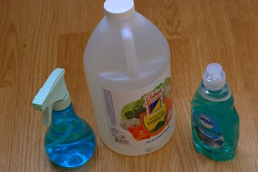 Dawn dish soap for fleas best sale in yard