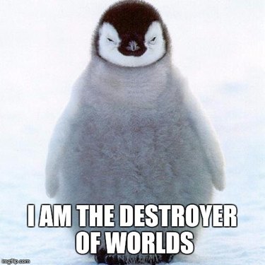 24 Memes That Prove Penguins Are The Funniest Animals On Earth