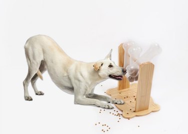 Pupper Pamper flipping treat puzzle