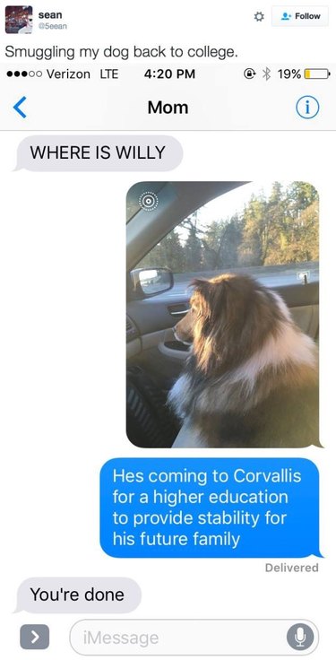 Text message exchange about dog.