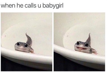 lizards can be cute too