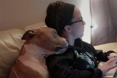 This Cuddly Pit Bull's Love For His Mom Will Warm Your Heart