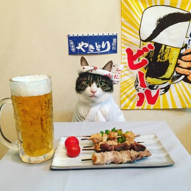Meet Maro, the adorable cat chef cosplaying his way through the world's cuisines