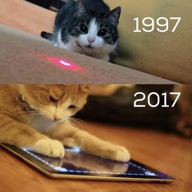 Cat meme: 1997 with a cat looking at a laser and 2017 with a cat looking at an Ipad