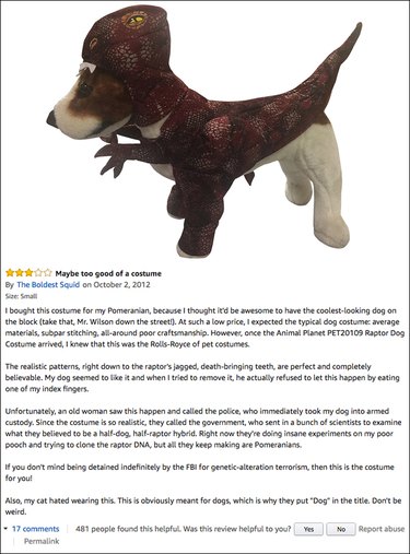 Funny Amazon reviews (raptor costume)