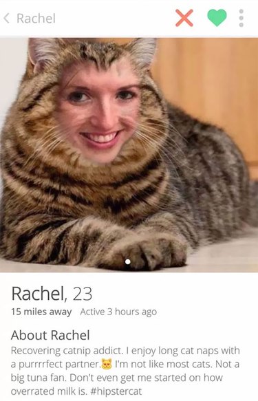 Woman's face Photoshopped onto cat's body