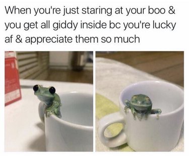 Tiny frog sitting on edge of a mug. Caption: When you're just staring at your boo & you get all giddy inside bc you're lucky af & appreciate them so much