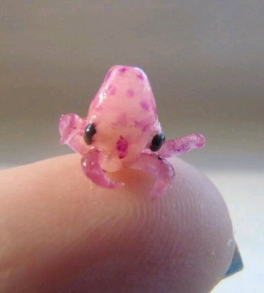 28 Tiny, Tiny Baby Animals That Will Melt You | Cuteness