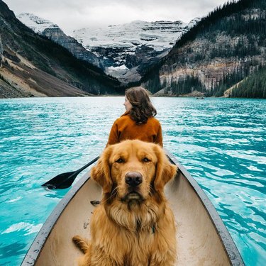 Dog in canoe with beautiful landscape.