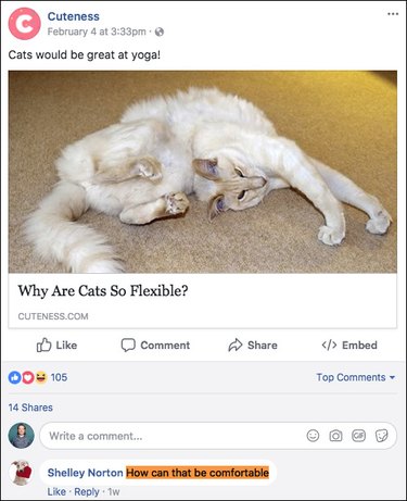 15 of the funniest comments ever posted to our — or any other — Facebook page